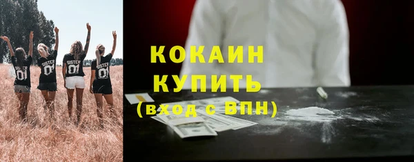 первитин Няндома