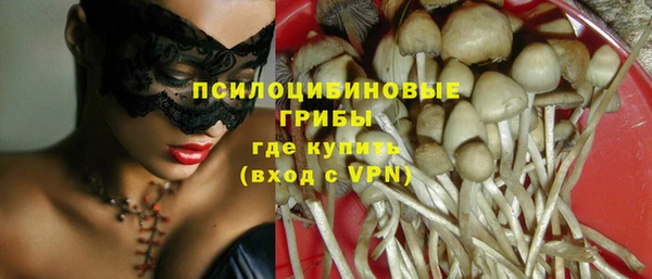 первитин Няндома