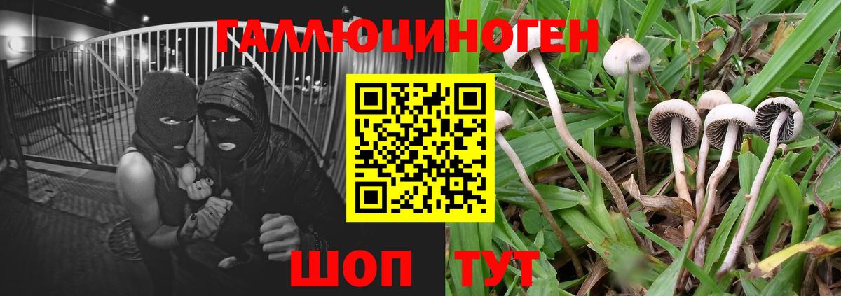 Уфа  Псилоцибиновые грибы ЛСД  Вход с VPN  Псилоцибиновые грибы Cubensis 